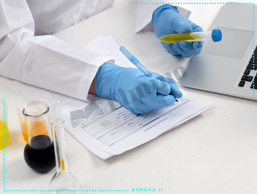 Scientific Research Paper